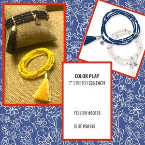 Premier Designs Color Play